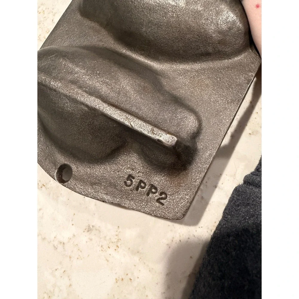 Lodge Cast Iron Perch Fish Cornbread Pan 5 Molds 5PP2 Rustic Bakeware Black